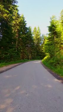 Yukarıdan görülen Sarmal Dağ Yolu 'nun dikey videosu yemyeşil ormanlar ve engebeli tepeleri kesiyor. Dokunulmamış vahşi doğada manzaralı otobanın insansız hava aracı görüntüsü seyahat ve macera için mükemmel.