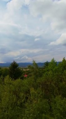 Ormanın zeminini aydınlatan güneş ışınları olan güzel yeşil bir ormanın havacılık videosu. Doğal güzelliklerle dolu barışçıl, sinematik orman sahnesi, ekolojik seyahat, kaçış ve macera için mükemmel.