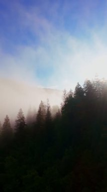 Güneşin doğuşuyla birlikte yemyeşil bir vadinin hava dikey videosu sisli tepeler, orman ağaçları ve yumuşak sabah ışığı. Seyahat, ekolojik maceralar ve manzaralı kaçışlar için mükemmel güzel, sinematik bir manzara.