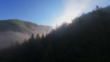 Güneşin doğuşunda yemyeşil bir vadinin hava manzarası sisli tepeler, orman ağaçları ve yumuşak sabah ışığı. Seyahat, ekolojik maceralar ve manzaralı kaçışlar için mükemmel güzel, sinematik bir manzara.