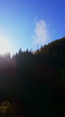 Güneşin doğuşuyla birlikte yemyeşil bir vadinin hava dikey videosu sisli tepeler, orman ağaçları ve yumuşak sabah ışığı. Seyahat, ekolojik maceralar ve manzaralı kaçışlar için mükemmel güzel, sinematik bir manzara.