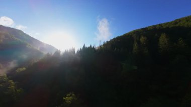 Güneşin doğuşunda yemyeşil bir vadinin hava manzarası sisli tepeler, orman ağaçları ve yumuşak sabah ışığı. Seyahat, ekolojik maceralar ve manzaralı kaçışlar için mükemmel güzel, sinematik bir manzara.