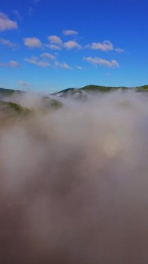 Güneşin doğuşuyla birlikte yemyeşil bir vadinin hava dikey videosu sisli tepeler, orman ağaçları ve yumuşak sabah ışığı. Seyahat, ekolojik maceralar ve manzaralı kaçışlar için mükemmel güzel, sinematik bir manzara.