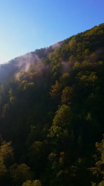 Güneşin doğuşuyla birlikte yemyeşil bir vadinin hava dikey videosu sisli tepeler, orman ağaçları ve yumuşak sabah ışığı. Seyahat, ekolojik maceralar ve manzaralı kaçışlar için mükemmel güzel, sinematik bir manzara.