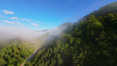 Güneşin doğuşunda yemyeşil bir vadinin hava manzarası sisli tepeler, orman ağaçları ve yumuşak sabah ışığı. Seyahat, ekolojik maceralar ve manzaralı kaçışlar için mükemmel güzel, sinematik bir manzara.