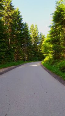 Yukarıdan görülen Sarmal Dağ Yolu 'nun dikey videosu yemyeşil ormanlar ve engebeli tepeleri kesiyor. Dokunulmamış vahşi doğada manzaralı otobanın insansız hava aracı görüntüsü seyahat ve macera için mükemmel.