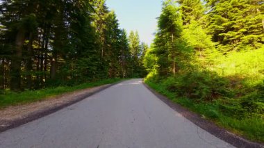 Yukardan görünen virajlı dağ yolu, yemyeşil ormanlar ve engebeli tepelerden geçiyor. Dokunulmamış yabanda manzaralı otobanın insansız hava aracı görüntüsü seyahat ve macera temaları için mükemmel.