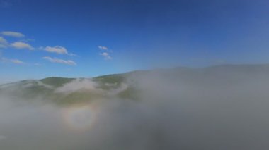 Güneşin doğuşunda yemyeşil bir vadinin hava manzarası sisli tepeler, orman ağaçları ve yumuşak sabah ışığı. Seyahat, ekolojik maceralar ve manzaralı kaçışlar için mükemmel güzel, sinematik bir manzara.