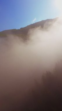 Güneşin doğuşuyla birlikte yemyeşil bir vadinin hava dikey videosu sisli tepeler, orman ağaçları ve yumuşak sabah ışığı. Seyahat, ekolojik maceralar ve manzaralı kaçışlar için mükemmel güzel, sinematik bir manzara.