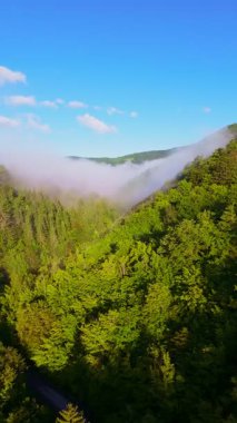 Güneşin doğuşuyla birlikte yemyeşil bir vadinin hava dikey videosu sisli tepeler, orman ağaçları ve yumuşak sabah ışığı. Seyahat, ekolojik maceralar ve manzaralı kaçışlar için mükemmel güzel, sinematik bir manzara.