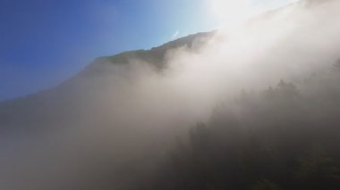 Güneşin doğuşunda yemyeşil bir vadinin hava manzarası sisli tepeler, orman ağaçları ve yumuşak sabah ışığı. Seyahat, ekolojik maceralar ve manzaralı kaçışlar için mükemmel güzel, sinematik bir manzara.
