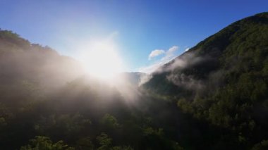 Güneşin doğuşunda yemyeşil bir vadinin hava manzarası sisli tepeler, orman ağaçları ve yumuşak sabah ışığı. Seyahat, ekolojik maceralar ve manzaralı kaçışlar için mükemmel güzel, sinematik bir manzara.