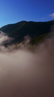 Güneşin doğuşuyla birlikte yemyeşil bir vadinin hava dikey videosu sisli tepeler, orman ağaçları ve yumuşak sabah ışığı. Seyahat, ekolojik maceralar ve manzaralı kaçışlar için mükemmel güzel, sinematik bir manzara.
