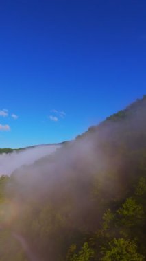 Güneşin doğuşuyla birlikte yemyeşil bir vadinin hava dikey videosu sisli tepeler, orman ağaçları ve yumuşak sabah ışığı. Seyahat, ekolojik maceralar ve manzaralı kaçışlar için mükemmel güzel, sinematik bir manzara.