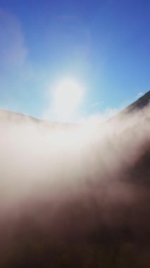 Güneşin doğuşuyla birlikte yemyeşil bir vadinin hava dikey videosu sisli tepeler, orman ağaçları ve yumuşak sabah ışığı. Seyahat, ekolojik maceralar ve manzaralı kaçışlar için mükemmel güzel, sinematik bir manzara.