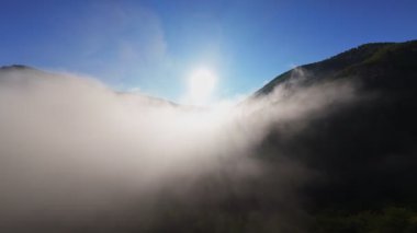 Güneşin doğuşunda yemyeşil bir vadinin hava manzarası sisli tepeler, orman ağaçları ve yumuşak sabah ışığı. Seyahat, ekolojik maceralar ve manzaralı kaçışlar için mükemmel güzel, sinematik bir manzara.