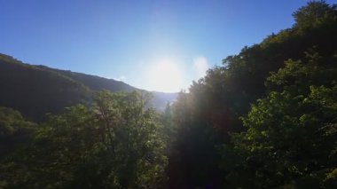 Güneşin doğuşunda yemyeşil bir vadinin hava manzarası sisli tepeler, orman ağaçları ve yumuşak sabah ışığı. Seyahat, ekolojik maceralar ve manzaralı kaçışlar için mükemmel güzel, sinematik bir manzara.