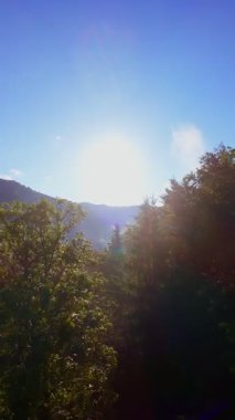 Güneşin doğuşuyla birlikte yemyeşil bir vadinin hava dikey videosu sisli tepeler, orman ağaçları ve yumuşak sabah ışığı. Seyahat, ekolojik maceralar ve manzaralı kaçışlar için mükemmel güzel, sinematik bir manzara.