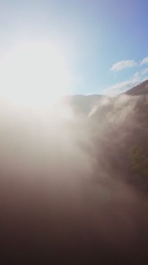 Güneşin doğuşuyla birlikte yemyeşil bir vadinin hava dikey videosu sisli tepeler, orman ağaçları ve yumuşak sabah ışığı. Seyahat, ekolojik maceralar ve manzaralı kaçışlar için mükemmel güzel, sinematik bir manzara.