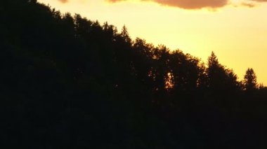 Gün batımında parlayan güneş, sıcak turuncu gökyüzü ve uzun çam ağaçları olan manzaralı orman silueti. Huzurlu, sakin doğa manzarası sakinlik, sükunet ve güzellik temaları için mükemmeldir.