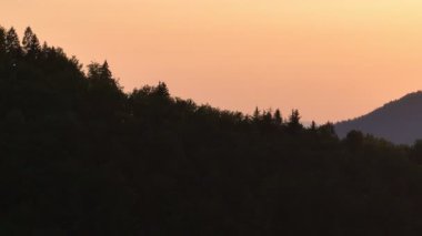 Gün batımında parlayan güneş, sıcak turuncu gökyüzü ve uzun çam ağaçları olan manzaralı orman silueti. Huzurlu, sakin doğa manzarası sakinlik, sükunet ve güzellik temaları için mükemmeldir.