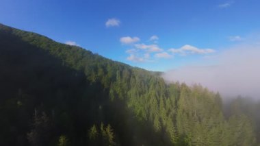 Güneşin doğuşunda yemyeşil bir vadinin hava manzarası sisli tepeler, orman ağaçları ve yumuşak sabah ışığı. Seyahat, ekolojik maceralar ve manzaralı kaçışlar için mükemmel güzel, sinematik bir manzara.