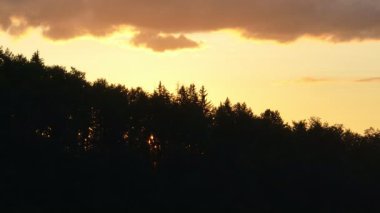 Gün batımında parlayan güneş, sıcak turuncu gökyüzü ve uzun çam ağaçları olan manzaralı orman silueti. Huzurlu, sakin doğa manzarası sakinlik, sükunet ve güzellik temaları için mükemmeldir.