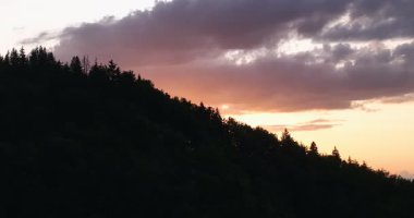 Gün batımında parlayan güneş, sıcak turuncu gökyüzü ve uzun çam ağaçları olan manzaralı orman silueti. Huzurlu, sakin doğa manzarası sakinlik, sükunet ve güzellik temaları için mükemmeldir.