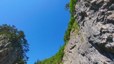 Bereketli yeşil ağaçlar ve ormanlarla çevrili kayalık bir uçurumdan şelalenin havadan görünüşü güneşli bir yaz gününde yumuşak FPV insansız hava aracıyla çekilmiştir, doğa için mükemmeldir.