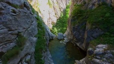 Bereketli yeşil ağaçlar ve ormanlarla çevrili kayalık bir uçurumdan şelalenin havadan görünüşü güneşli bir yaz gününde yumuşak FPV insansız hava aracıyla çekilmiştir, doğa için mükemmeldir.