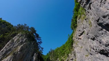 Bereketli yeşil ağaçlar ve ormanlarla çevrili kayalık bir uçurumdan şelalenin havadan görünüşü güneşli bir yaz gününde yumuşak FPV insansız hava aracıyla çekilmiştir, doğa için mükemmeldir.