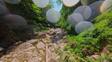 Bereketli yeşil ağaçlar ve ormanlarla çevrili kayalık bir uçurumdan şelalenin havadan görünüşü güneşli bir yaz gününde yumuşak FPV insansız hava aracıyla çekilmiştir, doğa için mükemmeldir.