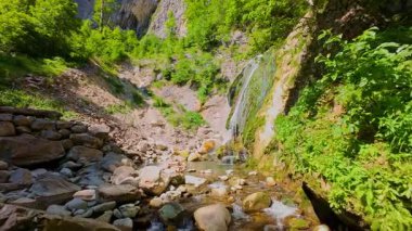 Bereketli yeşil ağaçlar ve ormanlarla çevrili kayalık bir uçurumdan şelalenin havadan görünüşü güneşli bir yaz gününde yumuşak FPV insansız hava aracıyla çekilmiştir, doğa için mükemmeldir.