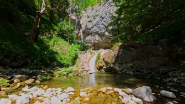 Bereketli yeşil ağaçlar ve ormanlarla çevrili kayalık bir uçurumdan şelalenin havadan görünüşü güneşli bir yaz gününde yumuşak FPV insansız hava aracıyla çekilmiştir, doğa için mükemmeldir.