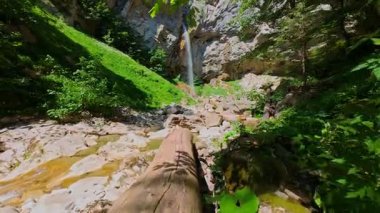 Bereketli yeşil ağaçlar ve ormanlarla çevrili kayalık bir uçurumdan şelalenin havadan görünüşü güneşli bir yaz gününde yumuşak FPV insansız hava aracıyla çekilmiştir, doğa için mükemmeldir.