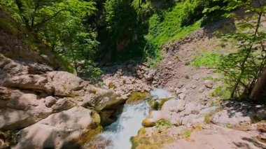 Bereketli yeşil ağaçlar ve ormanlarla çevrili kayalık bir uçurumdan şelalenin havadan görünüşü güneşli bir yaz gününde yumuşak FPV insansız hava aracıyla çekilmiştir, doğa için mükemmeldir.