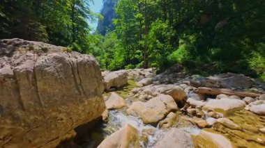 Bereketli yeşil ağaçlar ve ormanlarla çevrili kayalık bir uçurumdan şelalenin havadan görünüşü güneşli bir yaz gününde yumuşak FPV insansız hava aracıyla çekilmiştir, doğa için mükemmeldir.