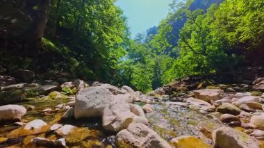 Bereketli yeşil ağaçlar ve ormanlarla çevrili kayalık bir uçurumdan şelalenin havadan görünüşü güneşli bir yaz gününde yumuşak FPV insansız hava aracıyla çekilmiştir, doğa için mükemmeldir.