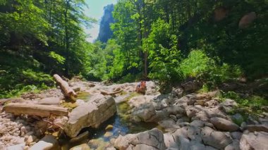 Bereketli yeşil ağaçlar ve ormanlarla çevrili kayalık bir uçurumdan şelalenin havadan görünüşü güneşli bir yaz gününde yumuşak FPV insansız hava aracıyla çekilmiştir, doğa için mükemmeldir.