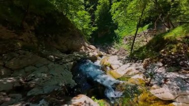 Bereketli yeşil ağaçlar ve ormanlarla çevrili kayalık bir uçurumdan şelalenin havadan görünüşü güneşli bir yaz gününde yumuşak FPV insansız hava aracıyla çekilmiştir, doğa için mükemmeldir.