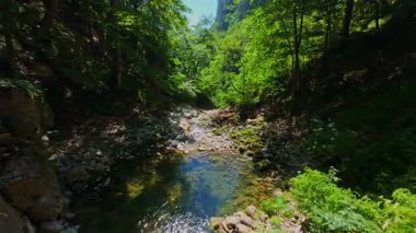 Bereketli yeşil ağaçlar ve ormanlarla çevrili kayalık bir uçurumdan şelalenin havadan görünüşü güneşli bir yaz gününde yumuşak FPV insansız hava aracıyla çekilmiştir, doğa için mükemmeldir.