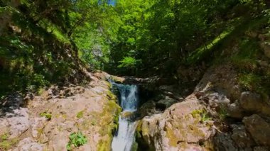 Bereketli yeşil ağaçlar ve ormanlarla çevrili kayalık bir uçurumdan şelalenin havadan görünüşü güneşli bir yaz gününde yumuşak FPV insansız hava aracıyla çekilmiştir, doğa için mükemmeldir.