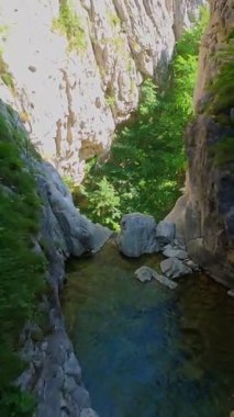 Bereketli yeşil ağaçlar ve ormanlarla çevrili kayalık bir uçurumdan şelalenin havadan çekilmiş dikey videosu güneşli bir yaz gününde FPV insansız hava aracıyla ağır çekimde çekildi..