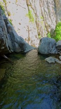 Bereketli yeşil ağaçlar ve ormanlarla çevrili kayalık bir uçurumdan şelalenin havadan çekilmiş dikey videosu güneşli bir yaz gününde FPV insansız hava aracıyla ağır çekimde çekildi..