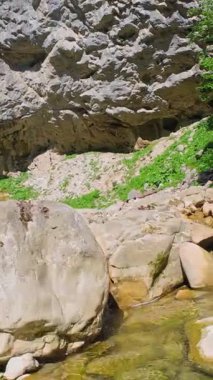 Bereketli yeşil ağaçlar ve ormanlarla çevrili kayalık bir uçurumdan şelalenin havadan çekilmiş dikey videosu güneşli bir yaz gününde FPV insansız hava aracıyla ağır çekimde çekildi..