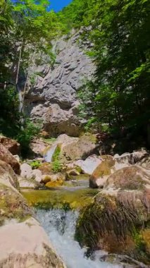 Bereketli yeşil ağaçlar ve ormanlarla çevrili kayalık bir uçurumdan şelalenin havadan çekilmiş dikey videosu güneşli bir yaz gününde FPV insansız hava aracıyla ağır çekimde çekildi..