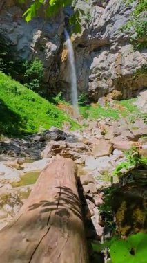 Bereketli yeşil ağaçlar ve ormanlarla çevrili kayalık bir uçurumdan şelalenin havadan çekilmiş dikey videosu güneşli bir yaz gününde FPV insansız hava aracıyla ağır çekimde çekildi..