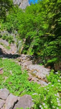 Bereketli yeşil ağaçlar ve ormanlarla çevrili kayalık bir uçurumdan şelalenin havadan çekilmiş dikey videosu güneşli bir yaz gününde FPV insansız hava aracıyla ağır çekimde çekildi..