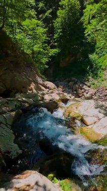 Bereketli yeşil ağaçlar ve ormanlarla çevrili kayalık bir uçurumdan şelalenin havadan çekilmiş dikey videosu güneşli bir yaz gününde FPV insansız hava aracıyla ağır çekimde çekildi..