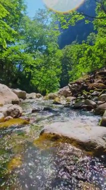 Bereketli yeşil ağaçlar ve ormanlarla çevrili kayalık bir uçurumdan şelalenin havadan çekilmiş dikey videosu güneşli bir yaz gününde FPV insansız hava aracıyla ağır çekimde çekildi..